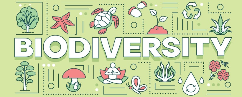 Biodiversity