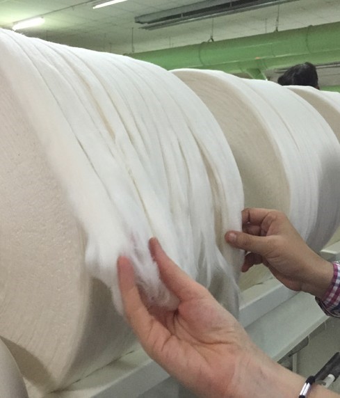 Wool rolls