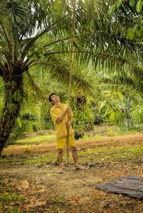 Man working in a palm oil plantation