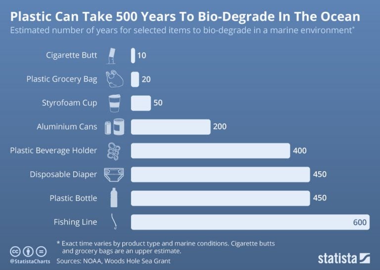 infographic showing the estimated number of years items to bio-degrades in a marine envirnment